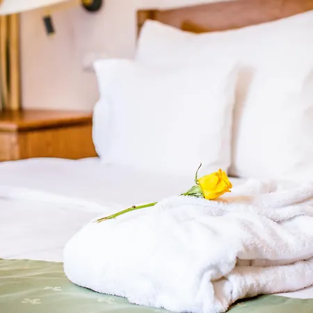 Dvorak Hotel 4*
