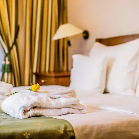 Hotel Dvorak 4*