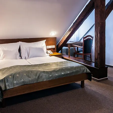 Hotel Dvorak
