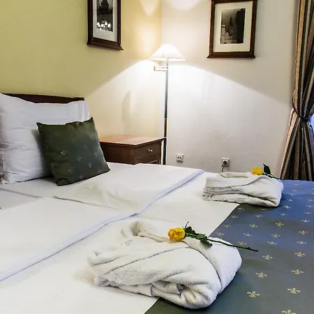 Hotel Dvorak