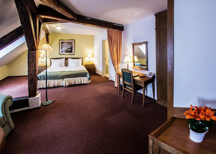 赛斯基克鲁姆洛夫德沃夏克酒店 4* Český Krumlov