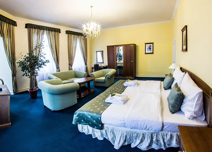 赛斯基克鲁姆洛夫德沃夏克酒店 4* Český Krumlov