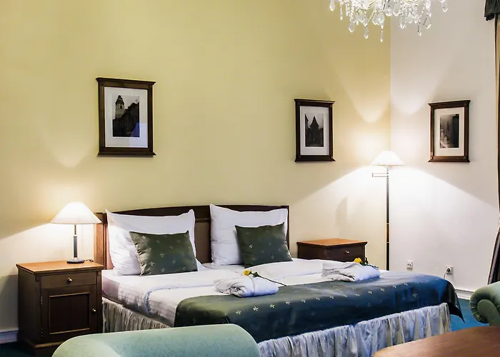 赛斯基克鲁姆洛夫德沃夏克酒店 4* Český Krumlov