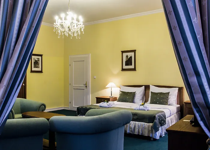 赛斯基克鲁姆洛夫德沃夏克酒店 4* Český Krumlov