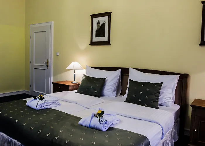 赛斯基克鲁姆洛夫德沃夏克酒店 4* Český Krumlov