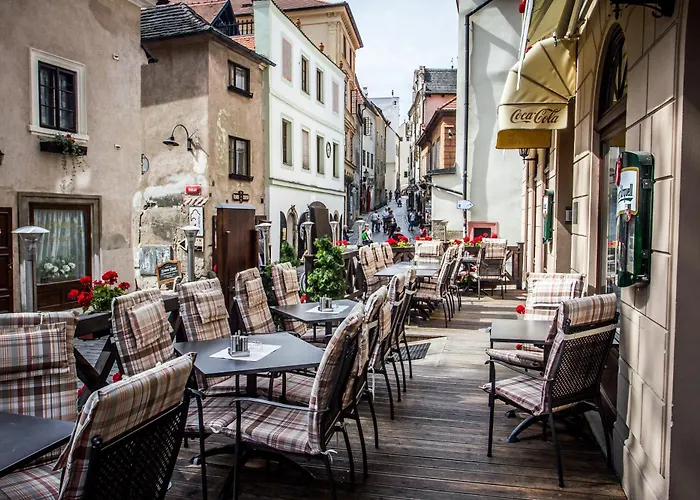 酒店 赛斯基克鲁姆洛夫德沃夏克酒店 Český Krumlov