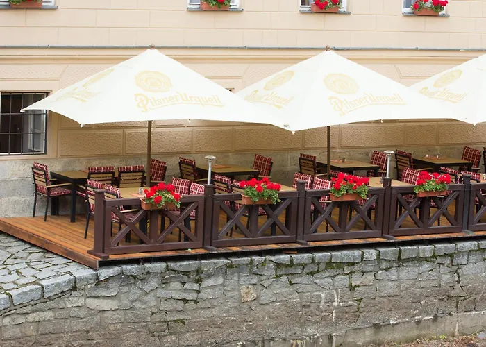 赛斯基克鲁姆洛夫德沃夏克酒店 4* Český Krumlov